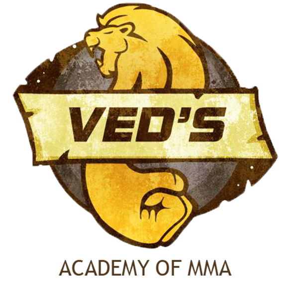 Veds Academy Logo
