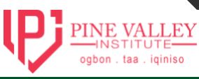 Pinevalley Institute Logo