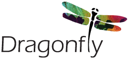 Dragonfly Academy Logo