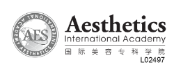 Aesthetics International Academy Logo