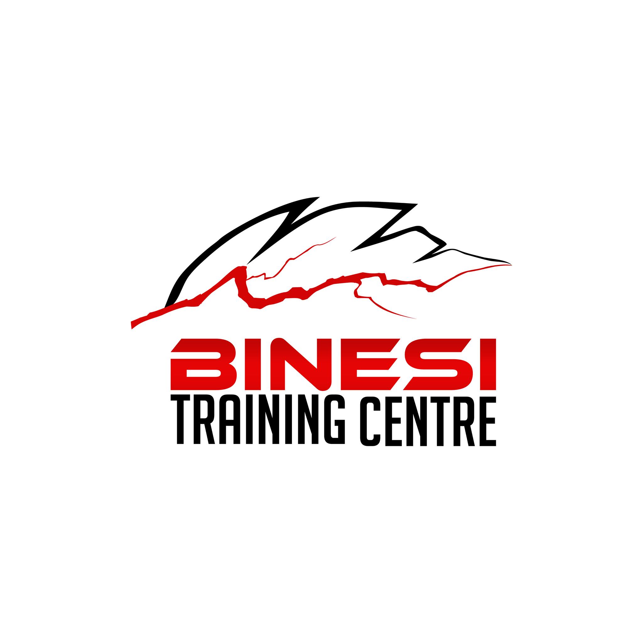 Binesi Training Centre Logo