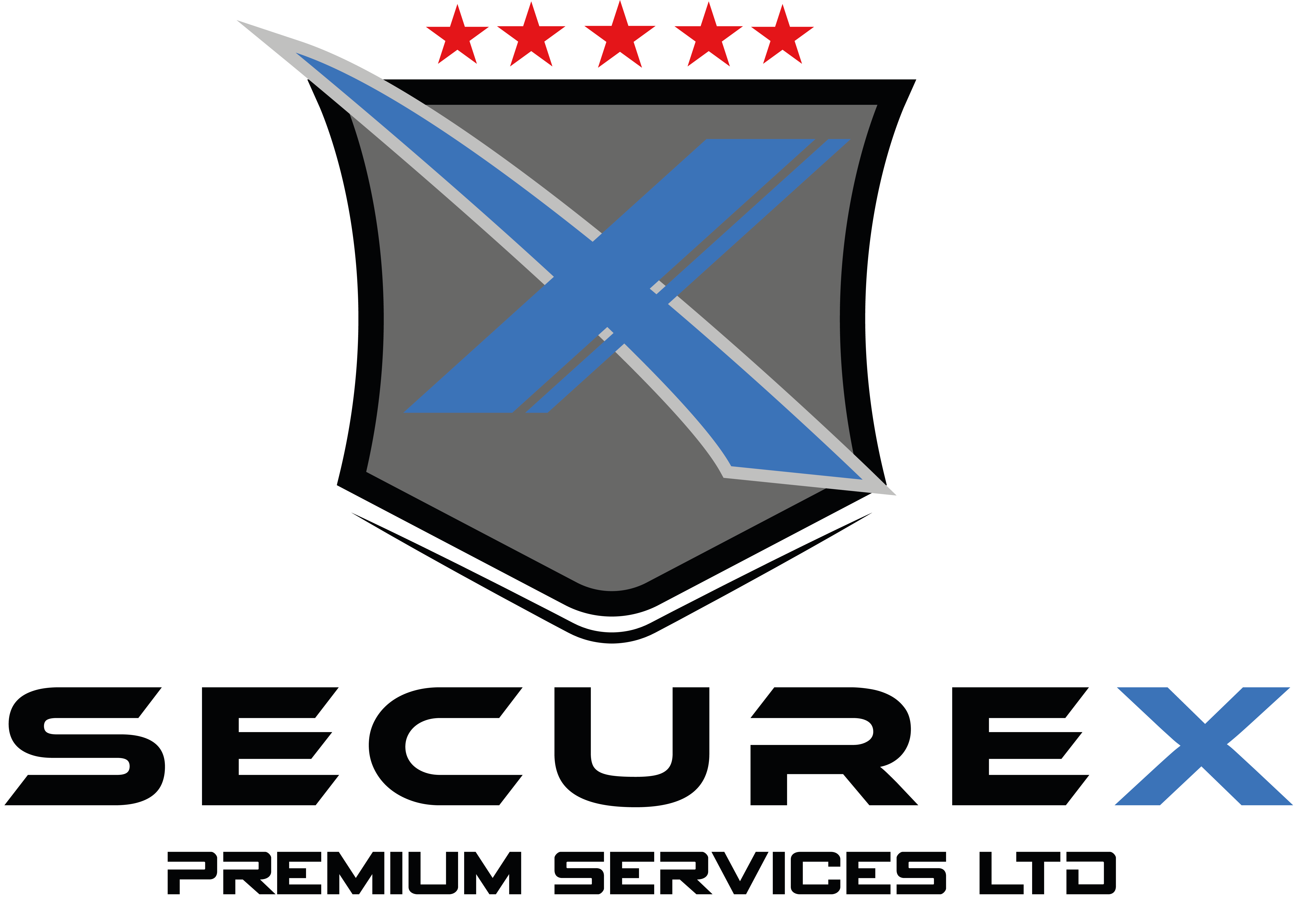 Secure X Logo