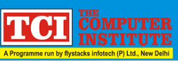 The Computer Institute Logo