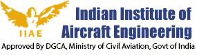 Indian Institute of Aircraft Engineering Logo