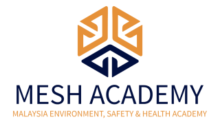 Mesh Academy Logo