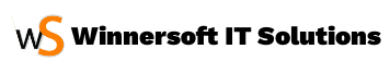 Winnersoft IT Solutions Logo