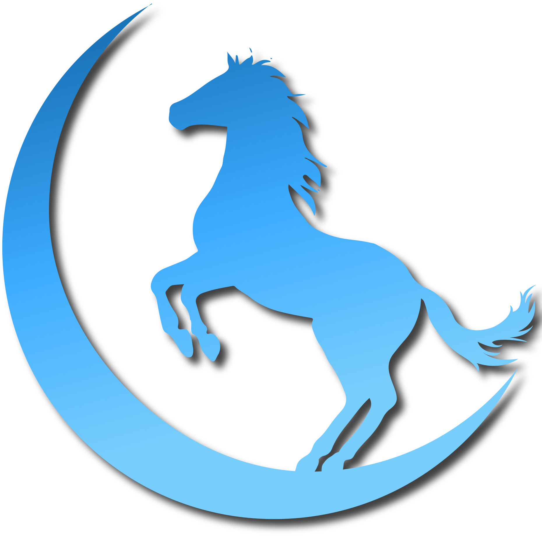 Blue Moon Riding School Logo