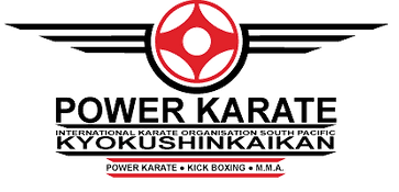 Power Karate Logo