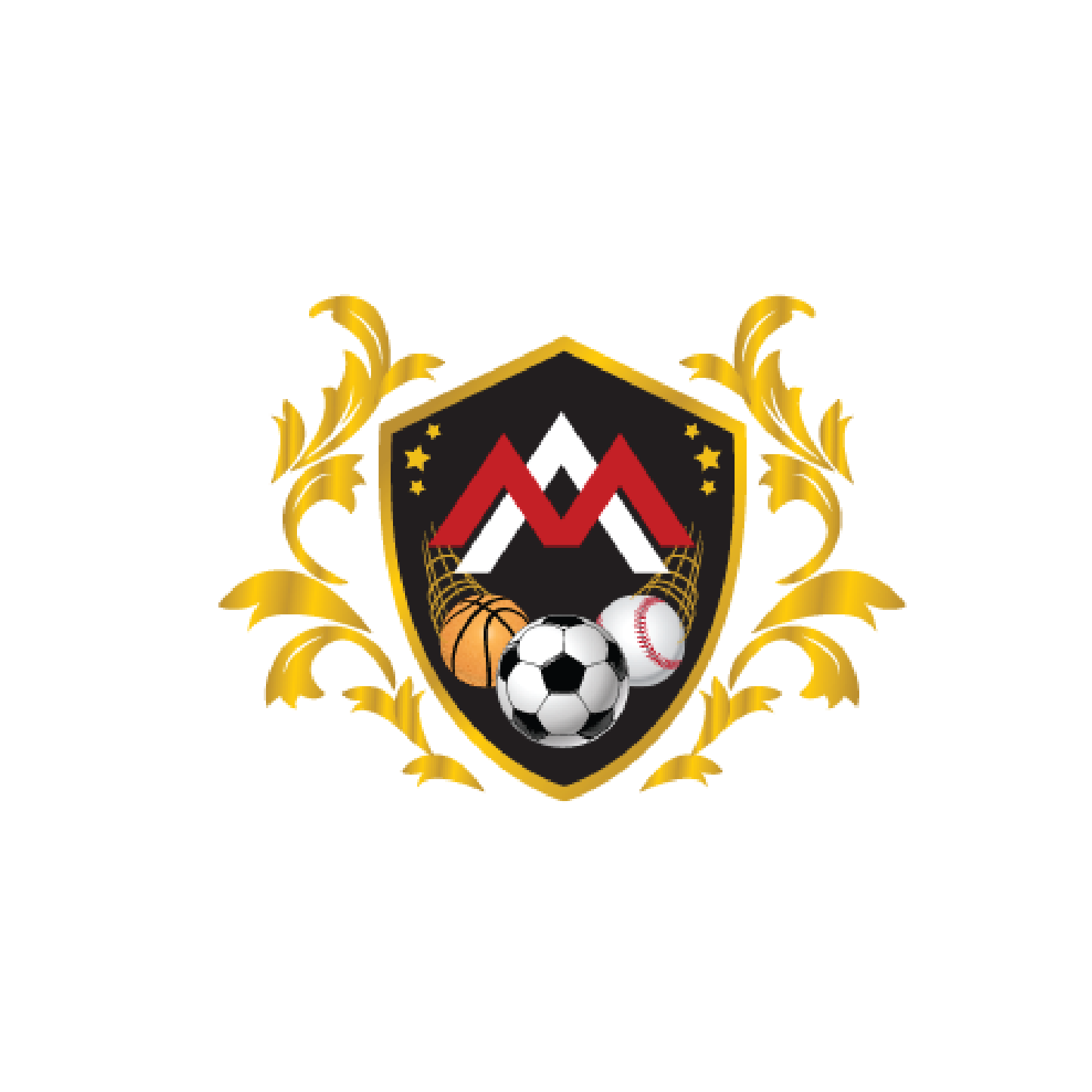 Manchester Sports Academy Logo