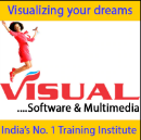 Visual Software and Multimedia Logo