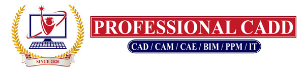 Professional Cadd Logo