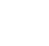 Leadership Nashville Logo