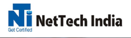 NetTech India Logo