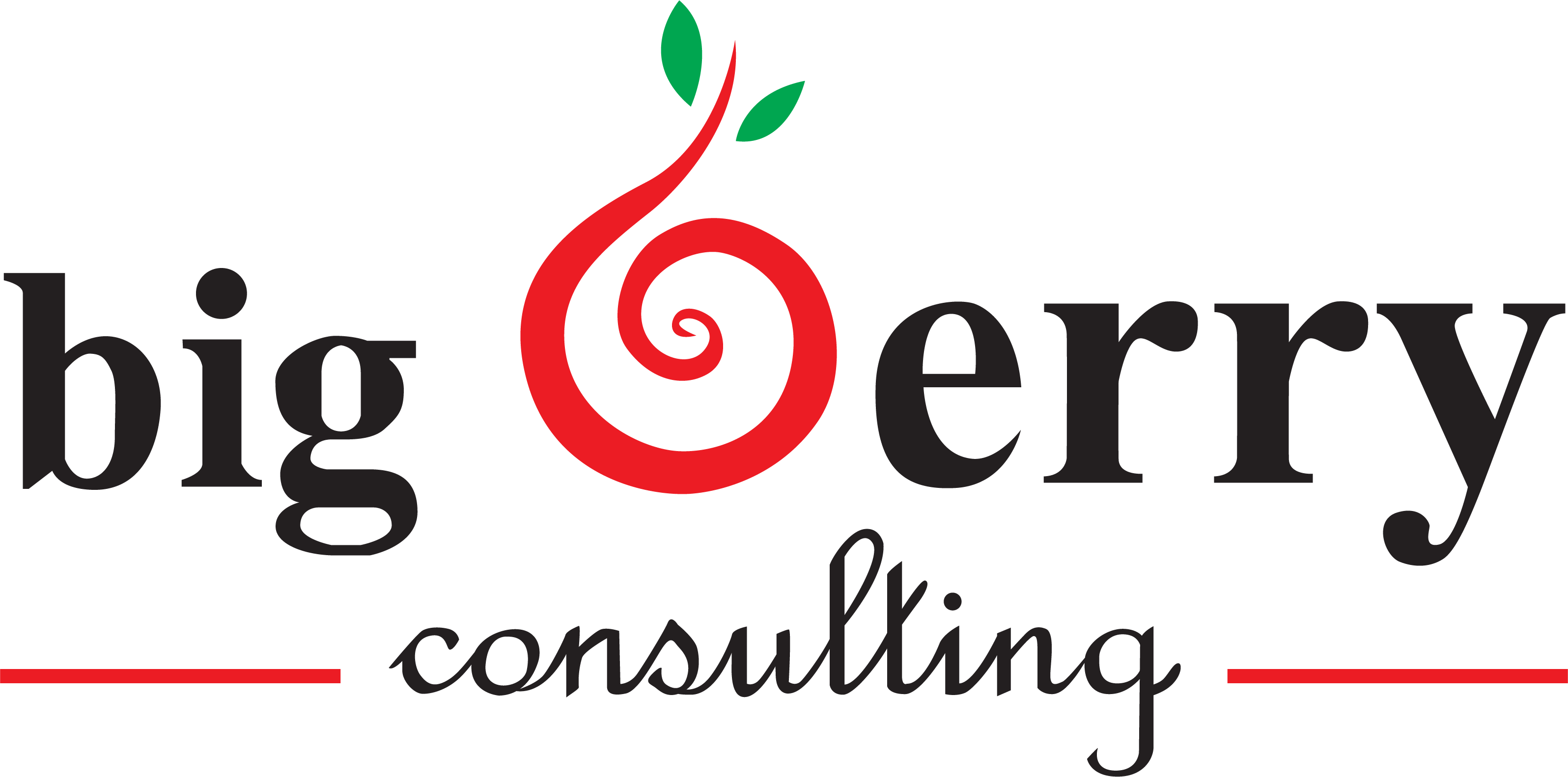 Big Berry Consulting (BBC) Logo