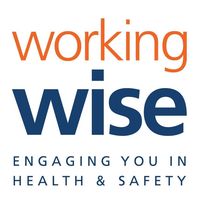 Working Wise Logo