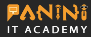 Panini IT Academy Logo