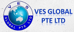 Ves Global Logo