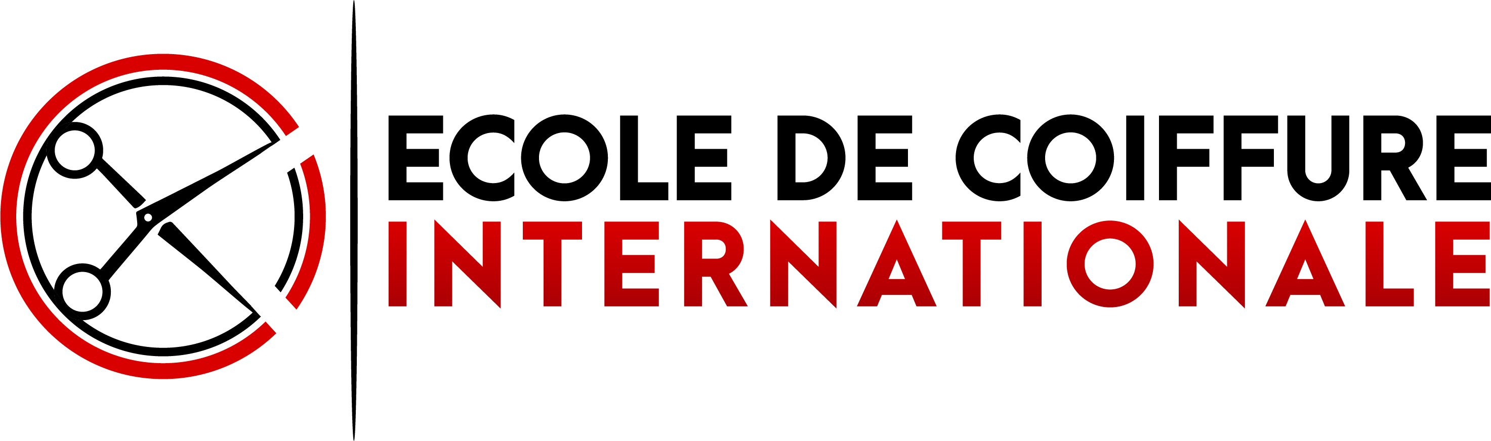 The international Hairdressing school Logo