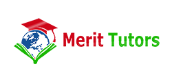 MeritTutors Logo