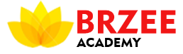 Brzee Academy Logo