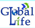 Global Life Institute of Fire and Safety Engineering Logo