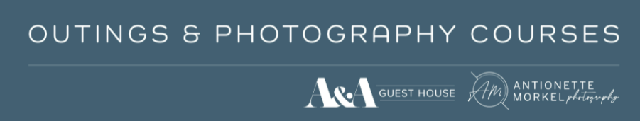 Antoniette Morkel Photography Logo