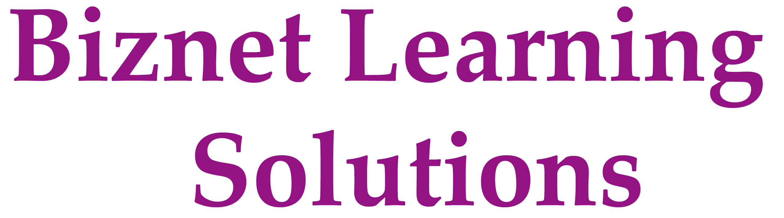 Biznet Learning Solutions Logo