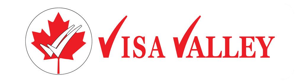 Visa Valley Logo