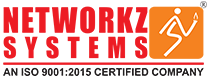 Networkz Systems Logo