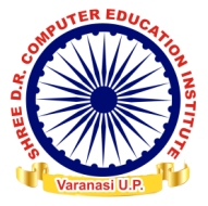 Shree DR Computer Education Institute Logo