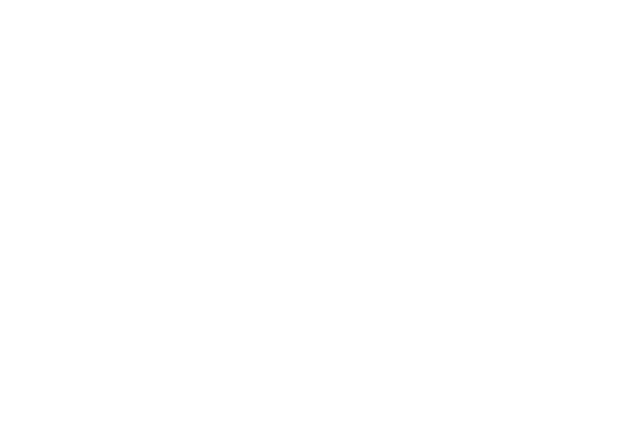 The Dance Place Logo