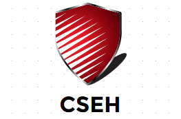 CSEH (Chandigarh School of Ethical Hacking) Logo