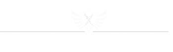 Contact Combat India Logo