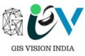 GIS Vision India Logo