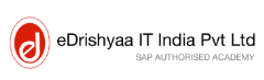 eDrishyaa IT India Pvt. Ltd. Logo