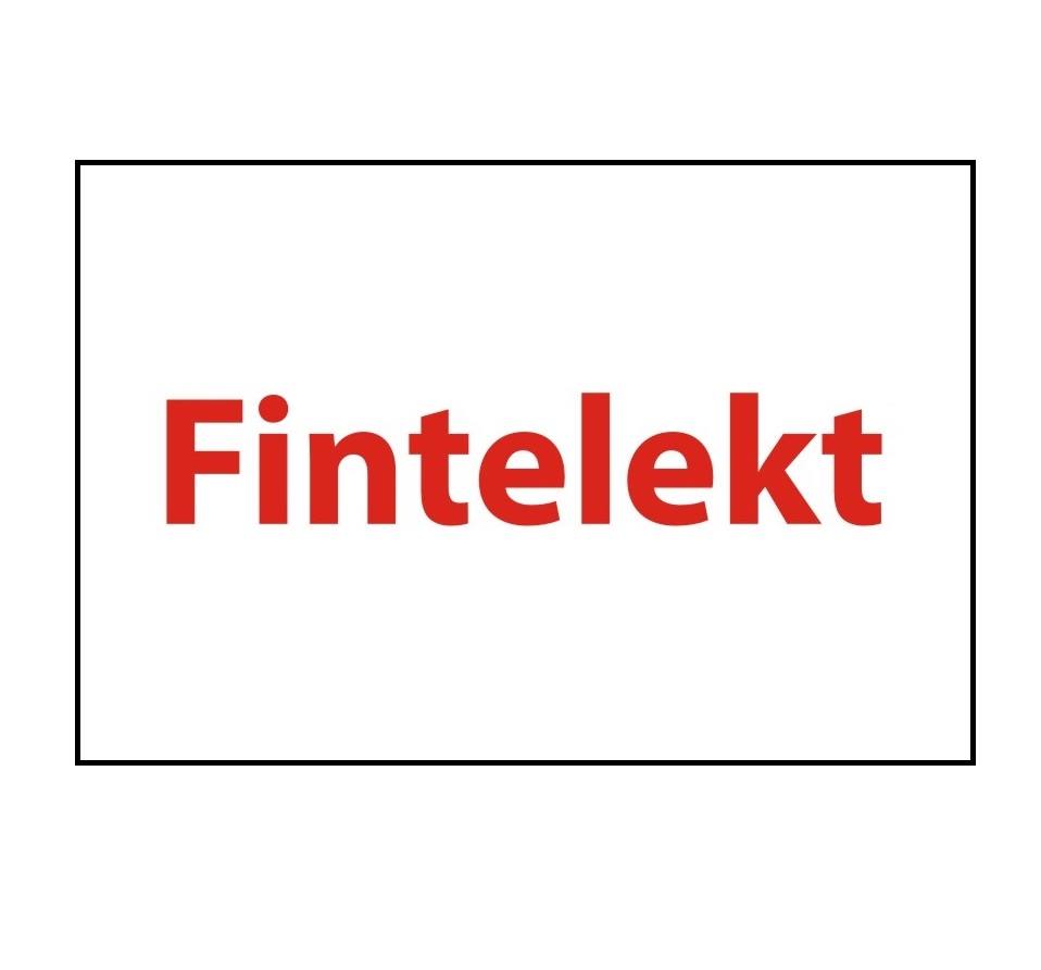 Fintelekt Logo