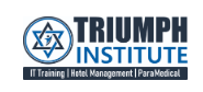 Triumph Institute Logo