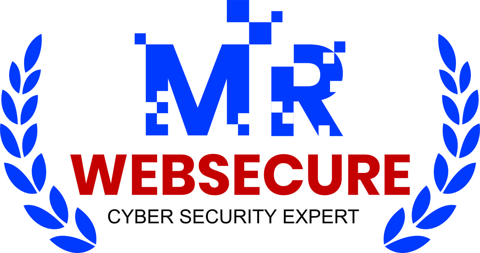 Mrwebsecure Infosolutions Pvt.Ltd Logo